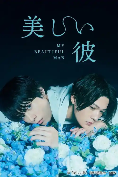 Assistir Meu Belo Homem