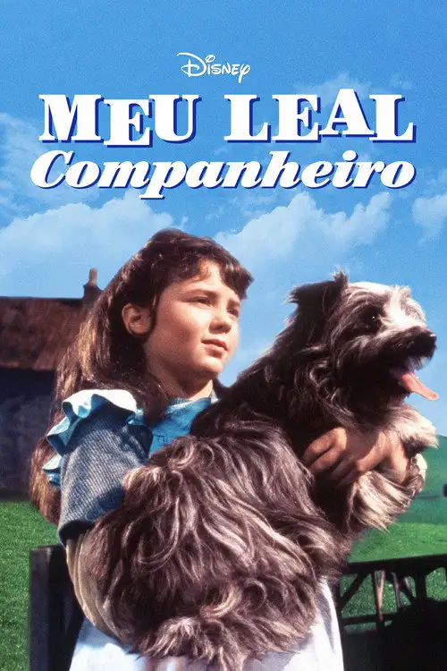 Assistir Meu Leal Companheiro