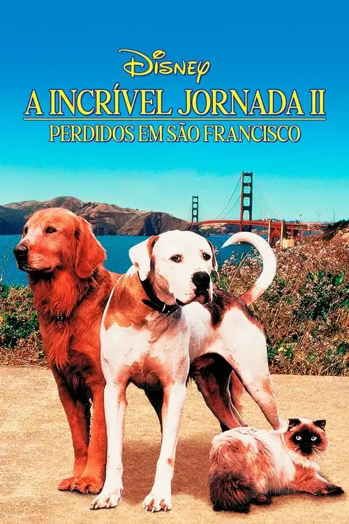 Assistir A Incrível Jornada II: Perdidos em São Francisco