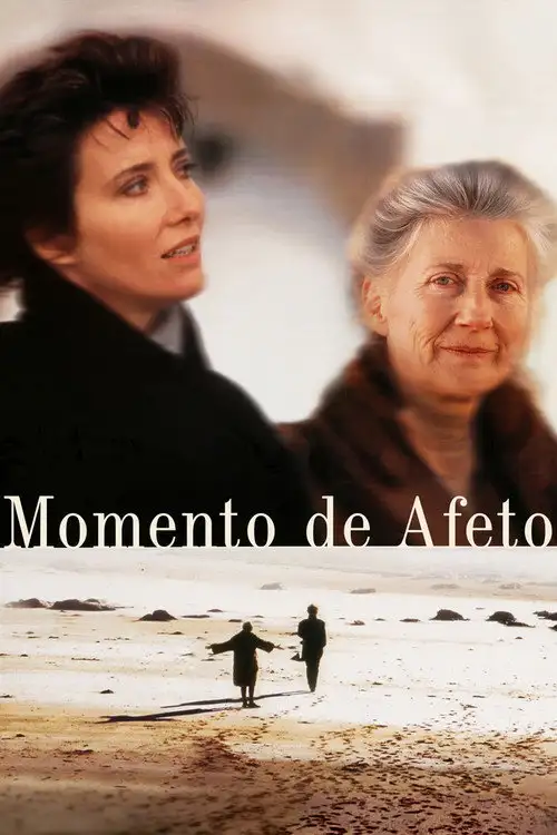 Assistir Momento de Afeto