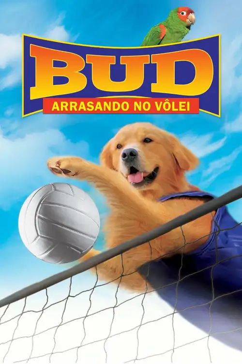 Assistir Bud 5: Arrasando no Vôlei!