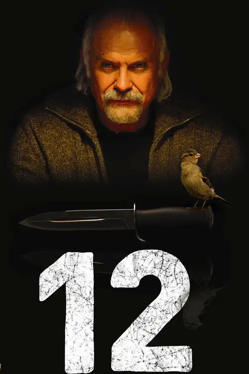 Assistir 12