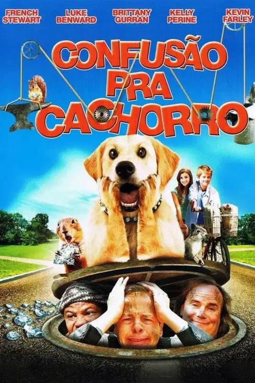 Assistir Confusão Pra Cachorro Online Grátis em HD