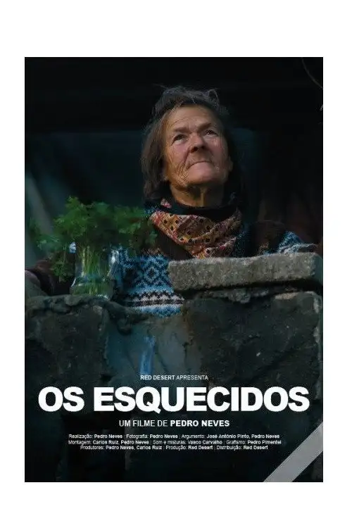 Assistir Os Esquecidos