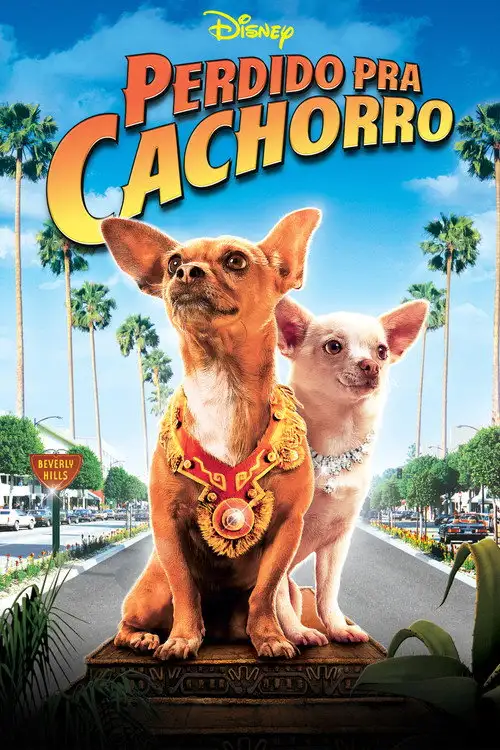 Assistir Perdido pra Cachorro