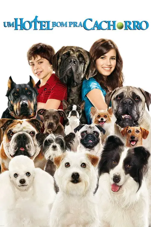 Assistir Um Hotel Bom pra Cachorro