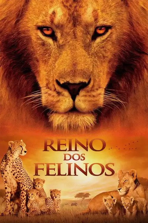 Assistir Reino dos Felinos