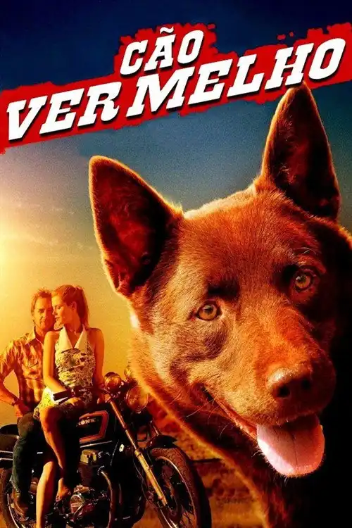 Assistir Cão Vermelho