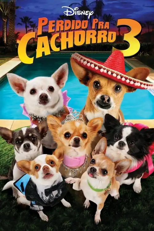 Assistir Perdido pra Cachorro 3