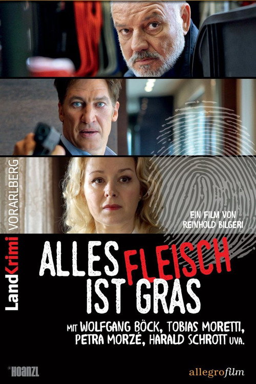 Assistir Camuflagem