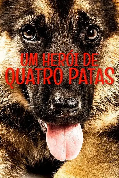 Assistir Um Herói de Quatro Patas