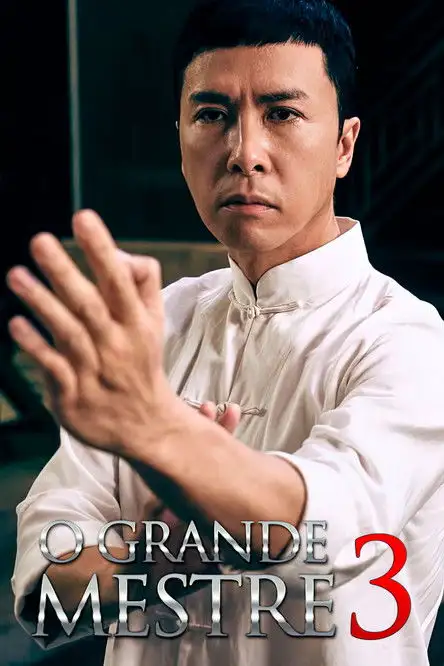 Assistir O Grande Mestre 3