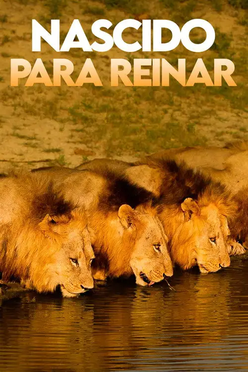Assistir Nascido para Reinar