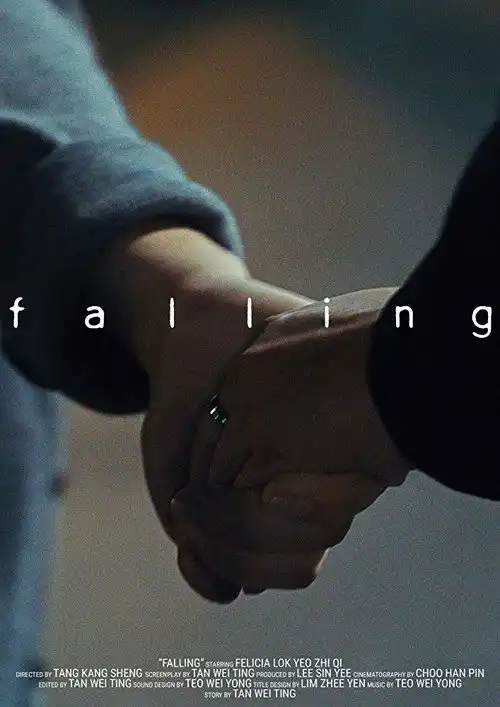 Assistir Falling