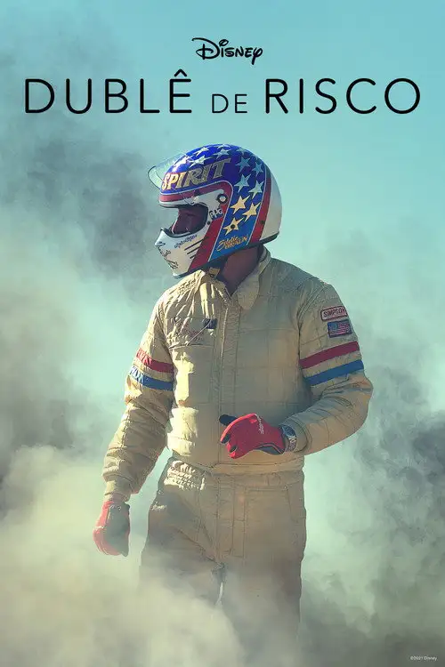 Assistir Dublê de Risco
