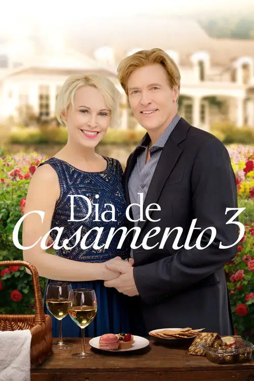 Assistir Dia de Casamento 3