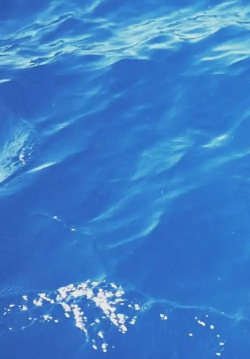 Assistir Aquamarine