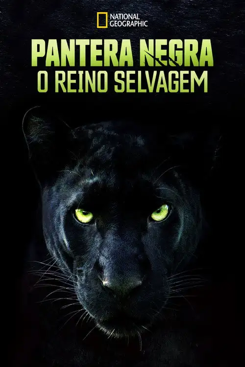 Assistir Pantera Negra: O Reino Selvagem
