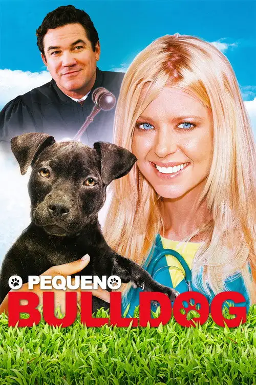 Assistir O Pequeno Bulldog