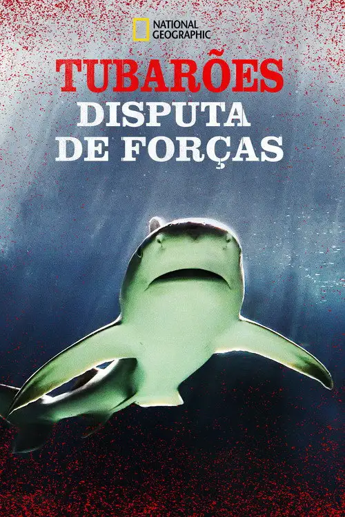 Assistir Tubarões: Disputa de Forças