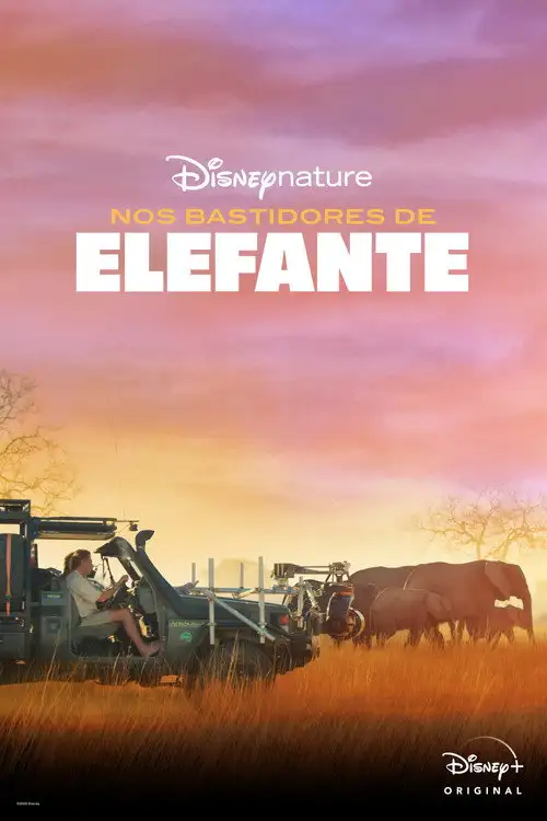 Assistir Nos Bastidores de Elefante