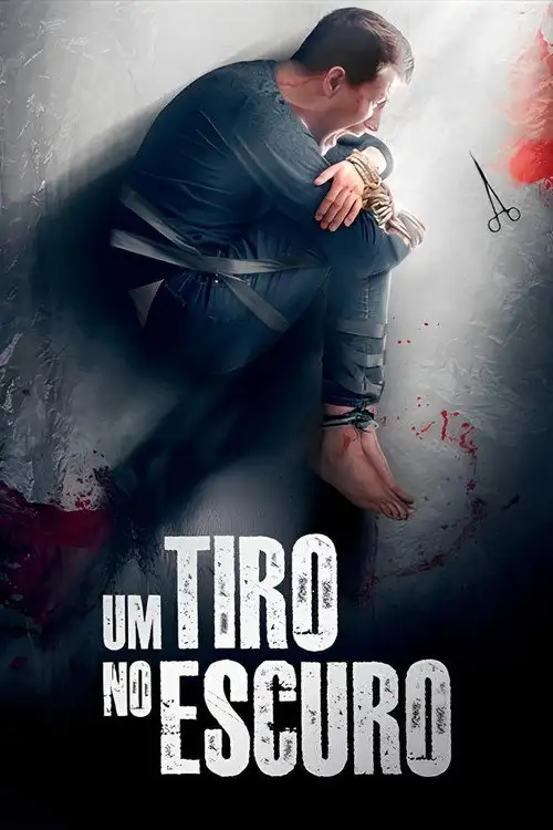 Assistir Um Tiro no Escuro