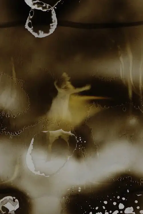 Assistir Wild Girl