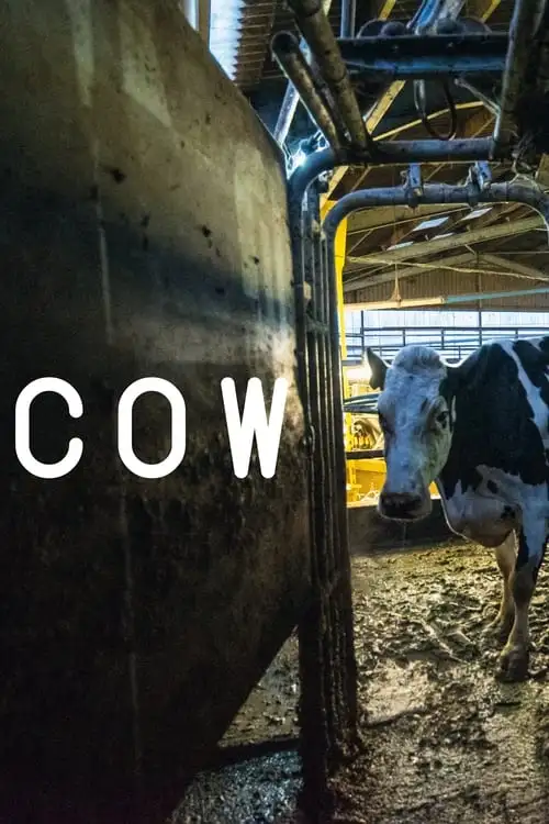 Assistir Cow