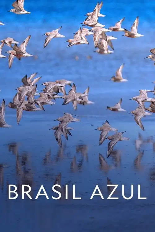 Assistir Brasil Azul