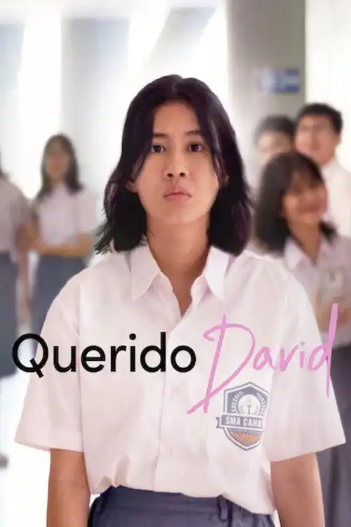 Assistir Querido David Online Grátis em HD