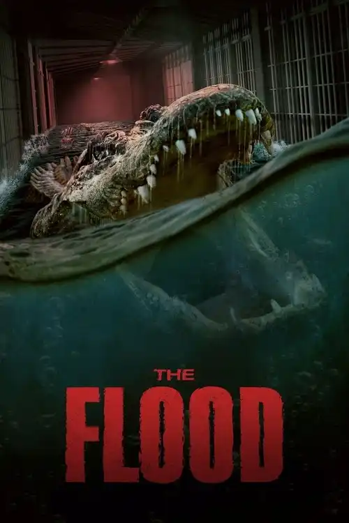 Assistir The Flood