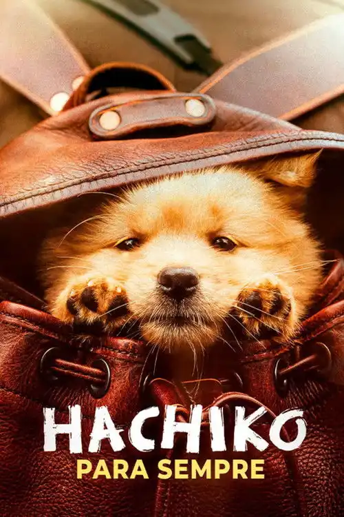 Assistir Hachiko Para Sempre Online Grátis em HD