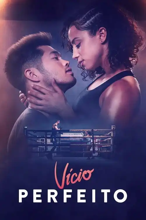 Assistir Vício Perfeito