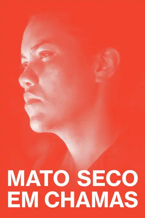 Assistir Mato Seco em Chamas