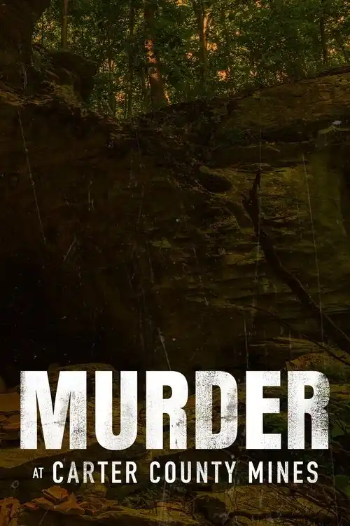 Assistir Assassinato nas Minas Carter