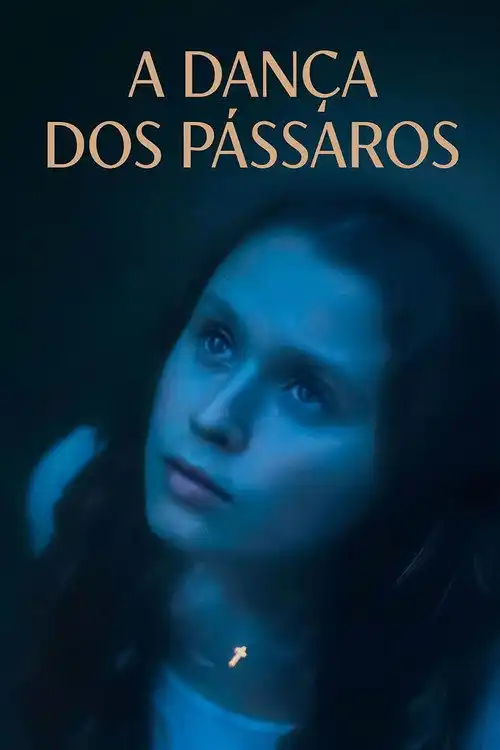 Assistir A Dança dos Pássaros