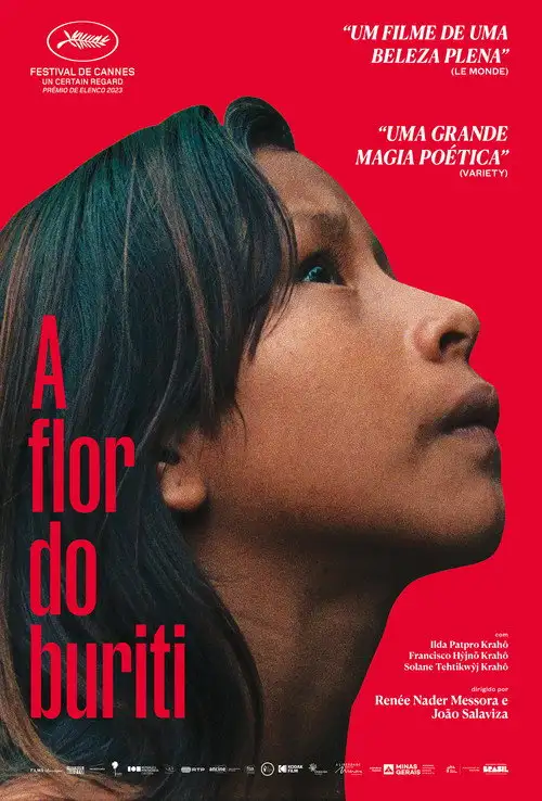 Assistir A Flor do Buriti