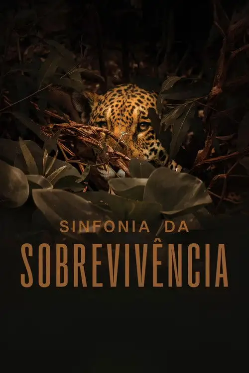 Assistir Sinfonia da Sobrevivência