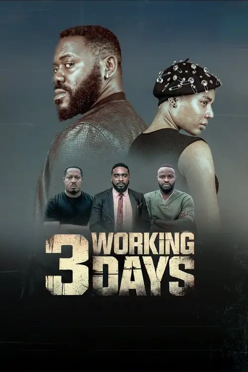 Assistir 3 Working Days