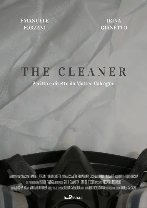 Assistir The Cleaner