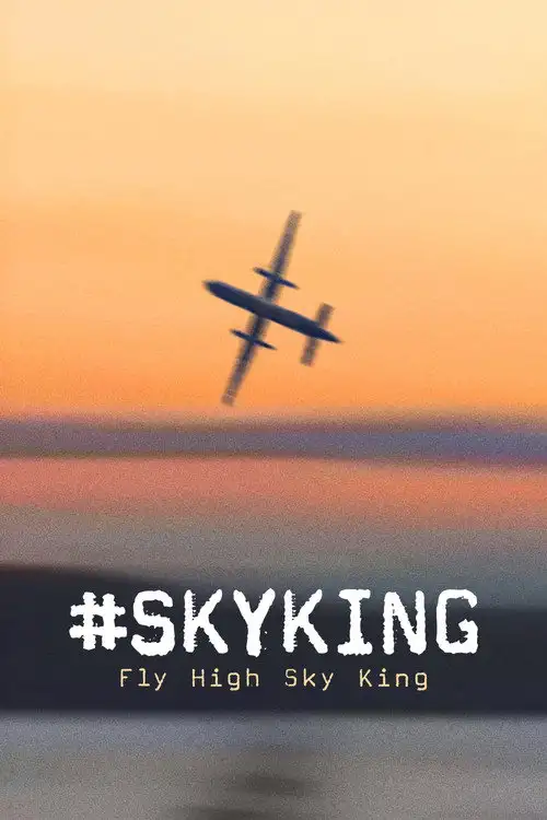 Assistir #SKYKING