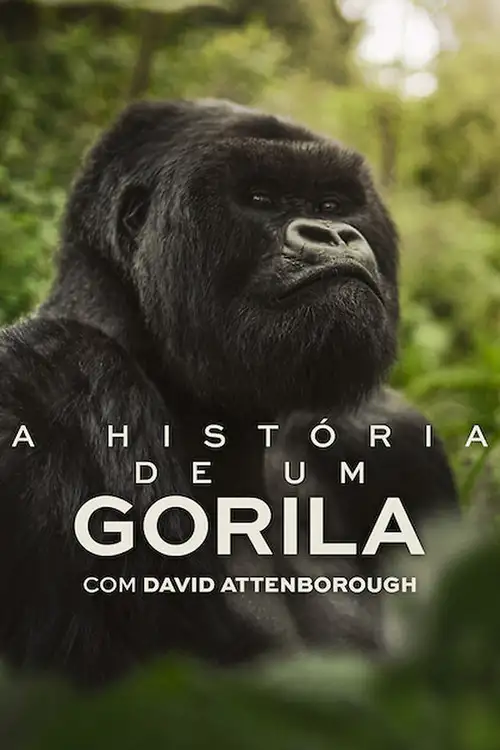 Assistir A História de Um Gorila com David Attenborough